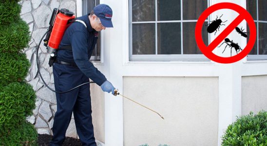 Kemaliye Böcek ve Haşere İlaçlama böcek ilaçlama ve haşere kontrolü — ilaclama-tr.com